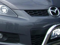CX7 Bull Bar